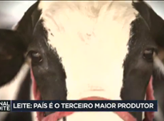 Brasil é o terceiro maior produtor do mundo de leite