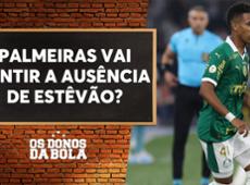 Ausência de Estêvão vai prejudicar o Palmeiras contra o Flamengo?