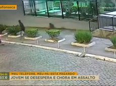 Jovem reage a assalto, chora e implora para bandido não levar celular