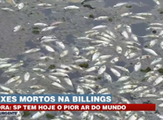 Peixes mortos na Represa Billings e Rio Pinheiros verde