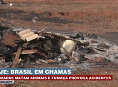 Queimadas destroem áreas rurais e matam animais em Goiás