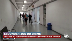 Chefões do Comando Vermelho escondidos nos morros cariocas