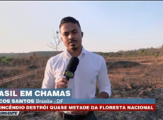 Incêndio destrói quase metade da Floresta Nacional de Brasília