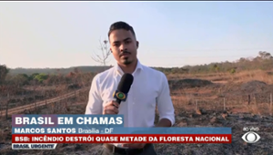 Incêndio destrói quase metade da Floresta Nacional de Brasília