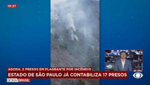 Sobe para 17 o número de presos envolvidos em incêndios de vegetação em SP