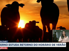 Horário de verão pode voltar? Veja o que o governo diz