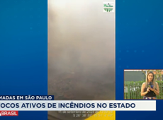 SP: 23 cidades têm focos ativos de incêndio