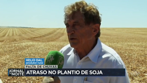 Estiagem atrasa produção de soja