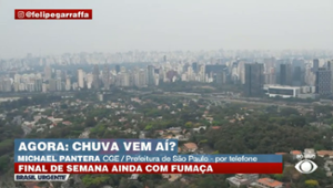 Cidade de São Paulo terá chuva fraca e isolada neste domingo