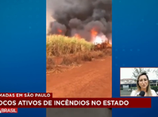 SP registra 11 focos de incêndio e 18 presos por queimadas