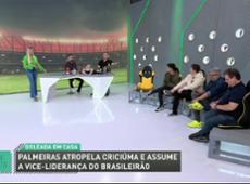 Palmeiras é quem pode disputar o título do Brasileirão com o Botafogo?