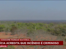 PF investiga incêndio no Parque Nacional de Brasília