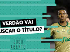 Palmeiras tem força para tirar liderança do Botafogo no Brasileirão?