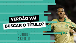 Palmeiras tem força para tirar liderança do Botafogo no Brasileirão?