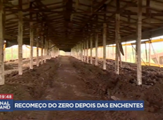 RS: perda de fertilidade do solo ainda é problema para produtores rurais