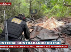 PCC: Contrabando de defensivos agrícolas encontrado