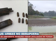 Armas e munições são encontradas no Parque Ibirapuera (SP)