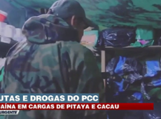 Frutas do PCC: Drogas dentro de Pitayas e cargas de cacau