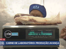 Carne de laboratório? Produção avança para atender demanda da população