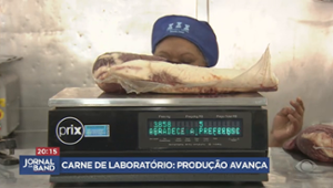 Carne de laboratório? Produção avança para atender demanda da população