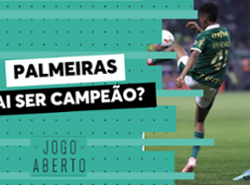 Denílson: “Botafogo tem que olhar o retrovisor, o Palmeiras está chegando”