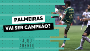 Denílson: “Botafogo tem que olhar o retrovisor, o Palmeiras está chegando”