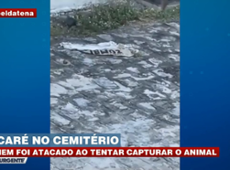 Jacaré ataca pessoas em cemitério em Alagoas