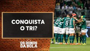 Debate Donos: Palmeiras vai conseguir alcançar o Botafogo no Brasileirão?