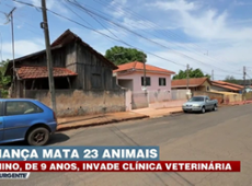 Criança invade clínica veterinária e maltrata animais