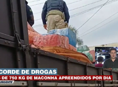 Recorde de apreensão de maconha: 750kg por dia