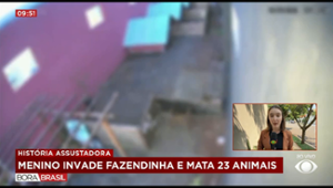 Conselho Tutelar acompanha criança que matou 23 animais no Paraná