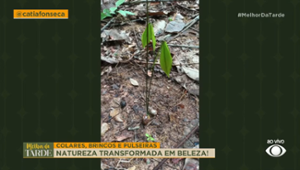 Colares, brincos e pulseiras: Veja a natureza transformada em beleza