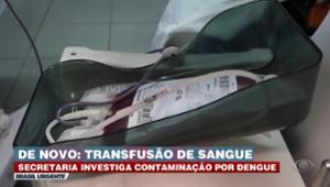 SP tem casos suspeitos de transmissão de dengue via transfusão de sangue