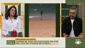 Homem se joga no mar para salvar cão de ataque de pitbull