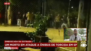 Emboscada de torcida do Palmeiras deixa um cruzeirense morto em SP