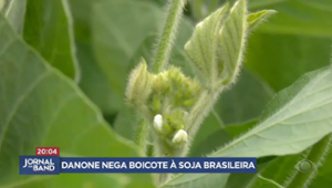 Danone nega boicote à soja brasileira