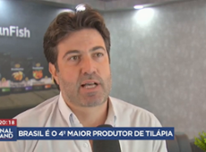 Exportação de peixe brasileiro teve aumento de 72%