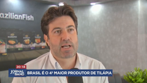 Exportação de peixe brasileiro teve aumento de 72%