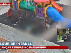 crianças são atacadas por pitbull em parquinho na zona norte de SP