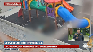 crianças são atacadas por pitbull em parquinho na zona norte de SP