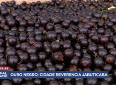 Jabuticaba-sabará vira "ouro negro" de cidade mineira