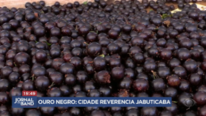 Jabuticaba-sabará vira "ouro negro" de cidade mineira