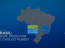 Brasil é o maior produtor de café do mundo