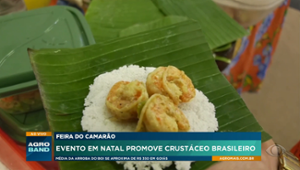 Feira Nacional do Camarão reúne 7 mil visitantes em Natal