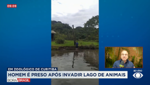 Homem é preso após invadir lago de hipopótamos em zoológico de Curitiba