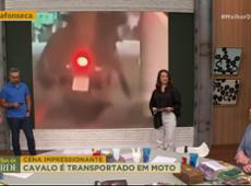 Cavalo é transportado em moto em Nova Iguaçu (RJ) | Melhor da Tarde