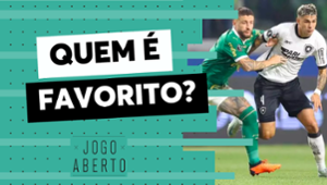 Debate Jogo Aberto: Palmeiras x Botafogo, quem é favorito para a decisão?