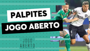 Palpites Jogo Aberto: Palmeiras x Botafogo, pelo Campeonato Brasileiro