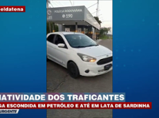 Criatividade do crime: drogas encontradas na sardinha