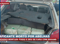 Traficante morre após levar ferroadas de abelhas